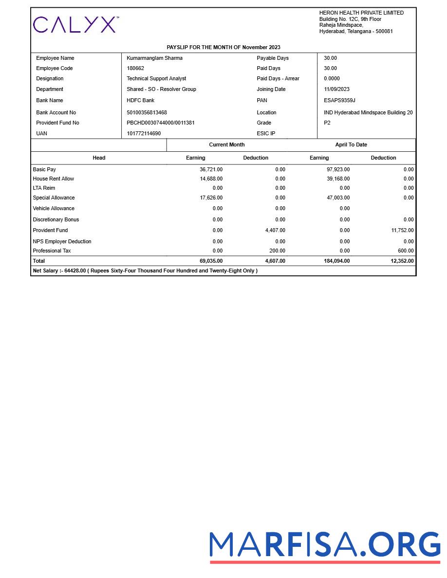 Blank Heron Health payslip template